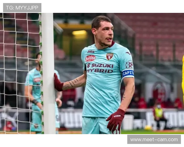 塔雷米合同细节曝光，对其未来转会市场走势解析相当引人关注