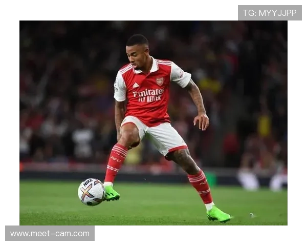 英超法比奥·维埃拉