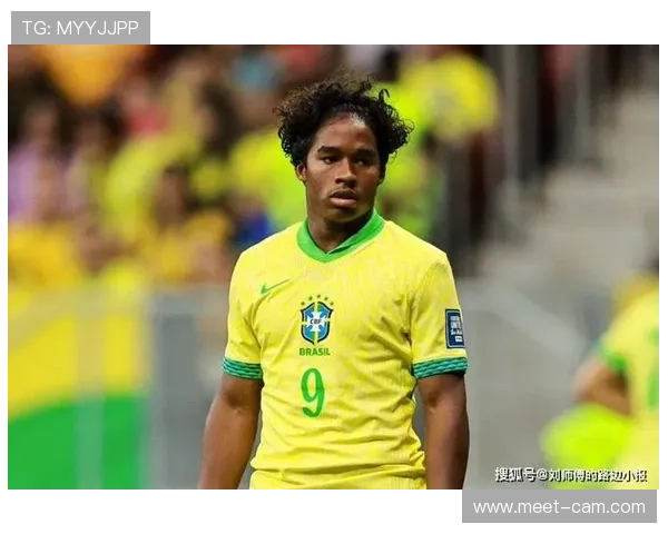 恩德里克技术全面分析