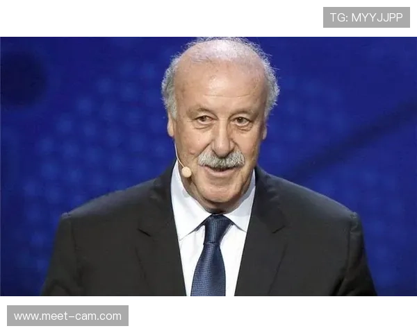 博斯克国家队执教生涯回顾：战术风格与大赛成绩分析