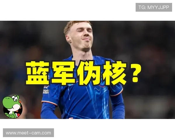 帕尔默的组织核心角色与创造力对战术自由度的依赖分析