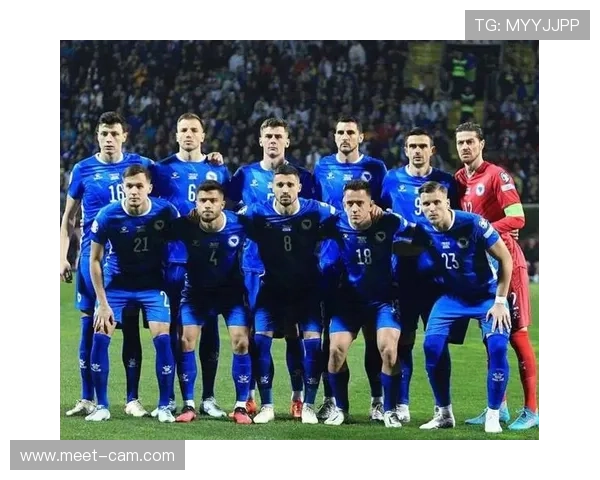波黑冲击2026世界杯：晋级前景与阵容挑战分析